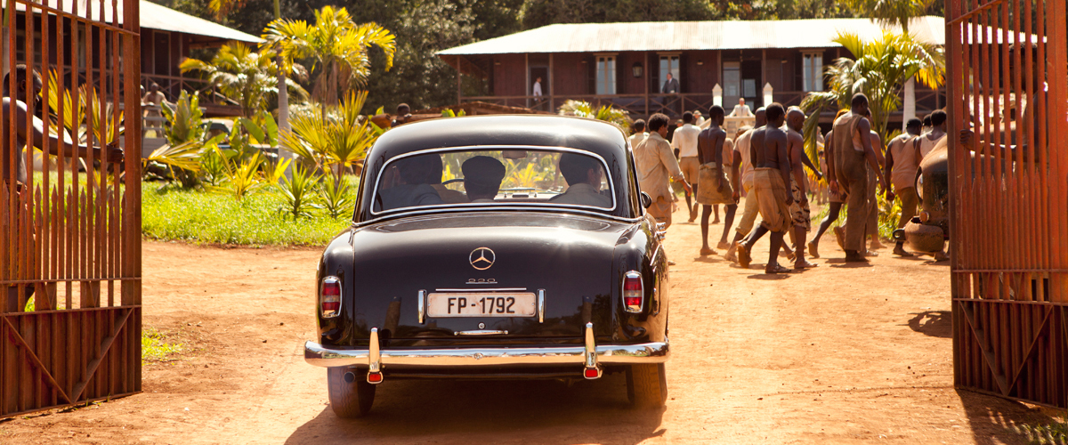 PALMERAS EN LA NIEVE (2015)